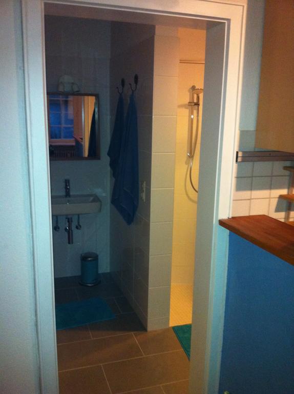 Ferienwohnung Freiburg Herdern Værelse billede